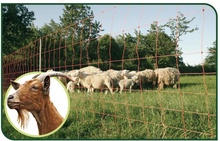 Malla Electrificada para Cabras 50 metros