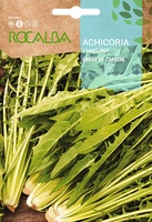 Semilla Achicoria Barbe de Capucin