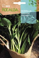 Semilla Borraja de Flor blanca