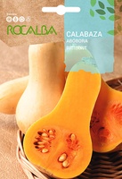 Semilla Calabaza Butternut Waltham