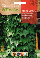 Semilla Parra Virgen -parthenocisus Tricuspidata
