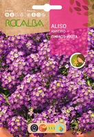 Semilla Aliso Compacto, Violeta Semilla Aliso Compacto, Violeta