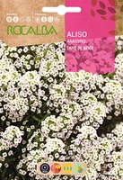 Semilla Aliso Tapis de Neige Semilla Aliso Tapis de Neige