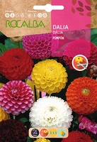 Semilla Dalia Pompon Doble Variada