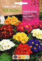 Semilla Primavera Gigante Ideale