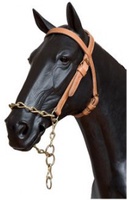 Cabezada Asturiana Nylon Cob