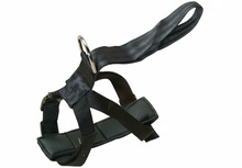 Arnes T Seguridad Automatico 70/90 cm.