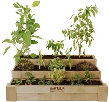 Huerto Madera Escalera Box Stairs120