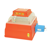 Incubadora Automatica Covatutto 24 Digital