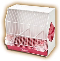 Jaula Pedros Concurso