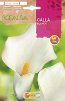 Bulbo Callas Blanco