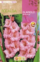 Bulbo Gladiolos 12/14 Applause Rosa