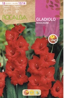 Bulbo Gladiolos 12/14 Mascagni Rojo
