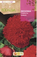 Bulbo Begonias Fimbriata Escarlata