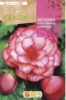Bulbo Begonias Doble Boton Rosa