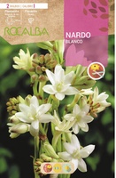 Bulbo Nardos Vara de San Jose Blanco