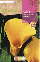 Bulbo Callas 14/18 Black Magic Amarillo