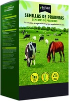 Semilla Ray Grass Ingles 1 kg