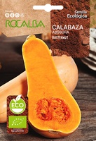 Semilla Ecologica Calabaza Butternut