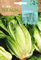 Semilla Lechuga Valladolid