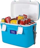 Nevera R�gida Habitex Coolbox 35 litros