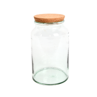 Botella de Terrario Medio Abierta M