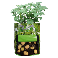 Sembradora de Patatas Terraza