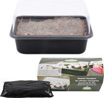 Set de Cultivo de Champi�ones