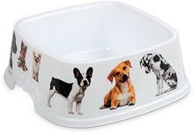 Comedero Braco Cuadrado Iml Mascotas 1,6 l Comedero Braco Cuadrado Iml Mascotas 1,6 l