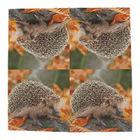 Servilletas de Papel Erizos 33x33cm