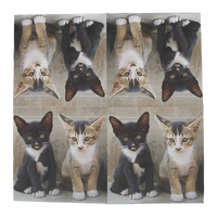 Servilleta Papel Gatitos 33x33 20 unidades