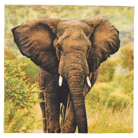 Servilletas de Papel Elefante 33x33cm