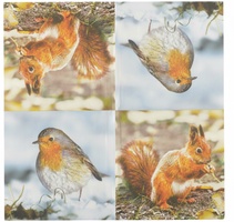 Servilletas de Papel Petirrojo/Ardilla