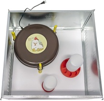 Kit Iniciacion Pollitos 1� Edad