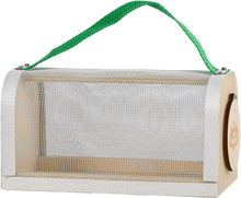 Caja de Madera Estudio Insectos 