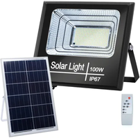 Foco Led con Panel Solar 100W