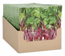 Servilletas de Papel Vegetales 33x33cm