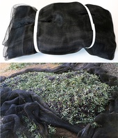 Manta para Recoleccion Aceitunas y Almendras 6x12 mt