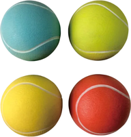 Juguete Pelota Tenis Perros