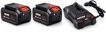Pack 2 bater�as ECHO Garden+ 40 V 2 Ah LBP-36-80 + cargador LC-3604