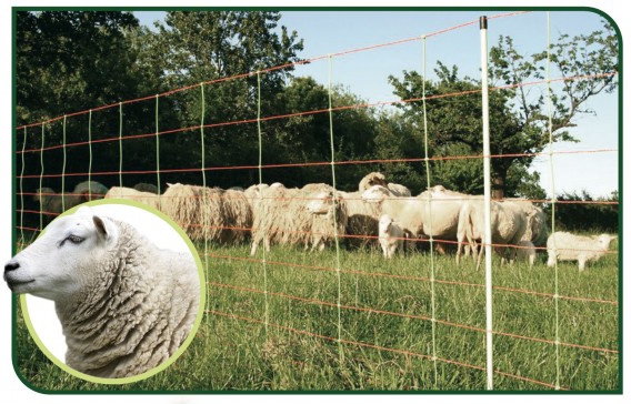 Malla Electrica para Ovejas Reforzada 50 metros