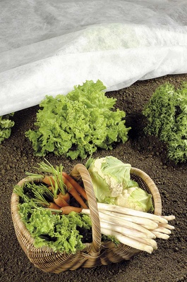 Manta Termica Protector Plantas 5x1,60 metros