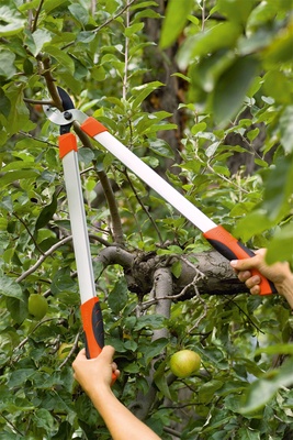 Tijera Corta Ramas 2 Manos Hobby 66 Amboss