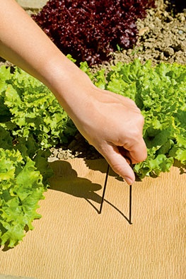 Estaca para Fijar Malla Antihierbas acero 10 cm 10 unidades