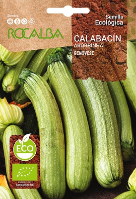 Semilla Ecologica Calabacin Genovese