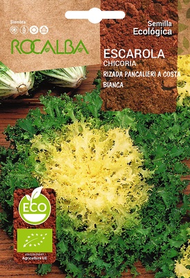 Semilla Ecologica Escarola Rizada Pancalieri Costa Bia