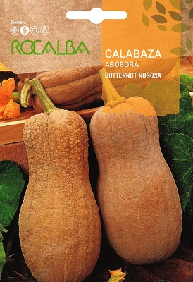 Semilla Calabaza Burrernut Rugosa 5 gr Semilla Calabaza Burrernut Rugosa 5 gr
