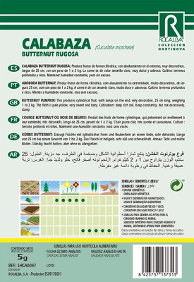 Semilla Calabaza Burrernut Rugosa 5 gr