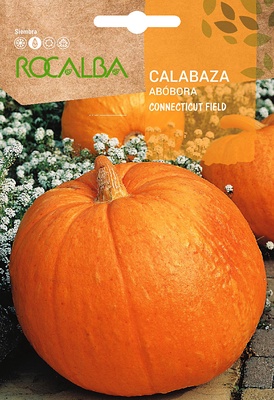 Semilla Calabaza Connectitut Field 5 gr Semilla Calabaza Connectitut Field 5 gr