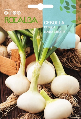 Semilla Cebolla blanca Barletta Semilla Cebolla blanca Barletta
